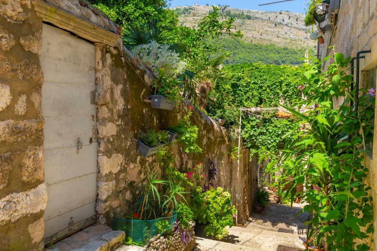 הוילה דוברובניק Old Town House With Floor Heating & Lush Private Garden מראה חיצוני תמונה