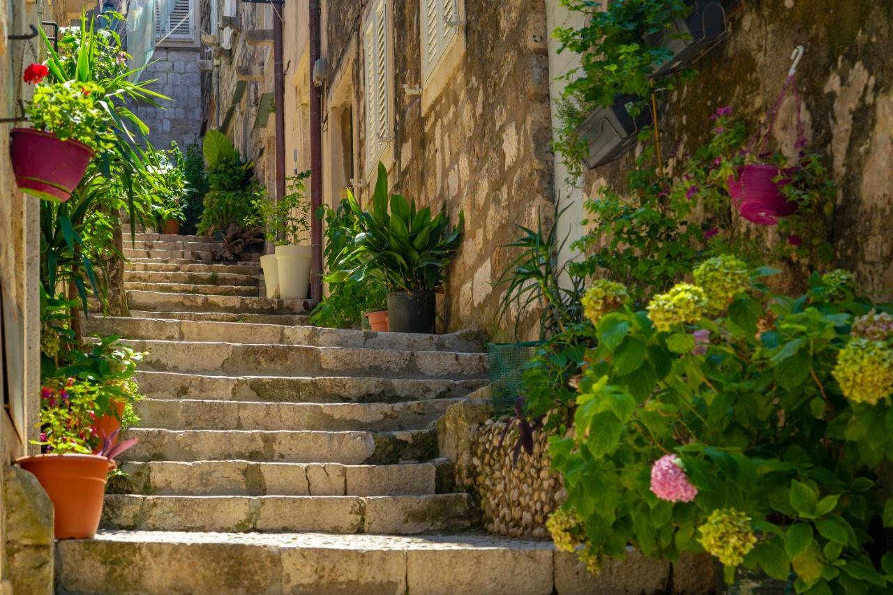 הוילה דוברובניק Old Town House With Floor Heating & Lush Private Garden מראה חיצוני תמונה